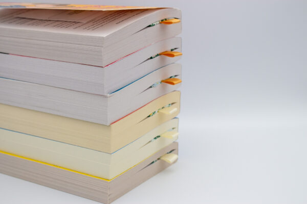 The Saya Bookmark - Image 4